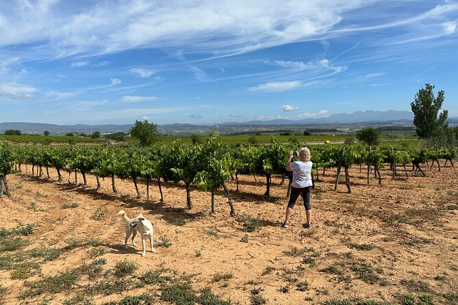 Wine Tasting in Three Boutique Wineries Tour - Max 8 people - Mas Comtal: Montserrat behind the grapes and owner-led hospitality