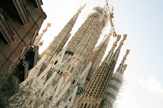 Wine tasting with a view of the Sagrada Familia - Group Size, English, and the Vibe You’ll Want