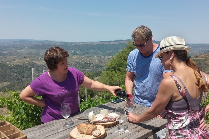 WINE TOUR PRIORAT: Visit 2 Top Wineries, Wine Tasting & Gourmet Lunch - Key Highlights Worth Getting Excited About