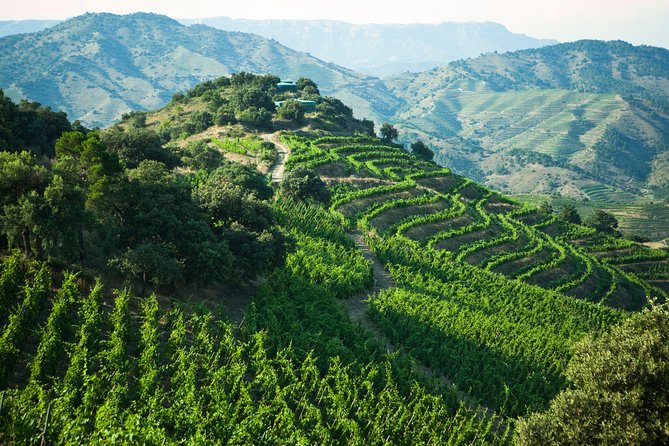 WINE TOUR PRIORAT: Visit 2 Top Wineries, Wine Tasting & Gourmet Lunch - Why Priorat Feels Like a Real Break from Barcelona’s Noise