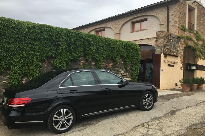 WINE TOUR PRIORAT: Visit 2 Top Wineries, Wine Tasting & Gourmet Lunch - Who This Tour Fits Best (and Who Should Rethink It)