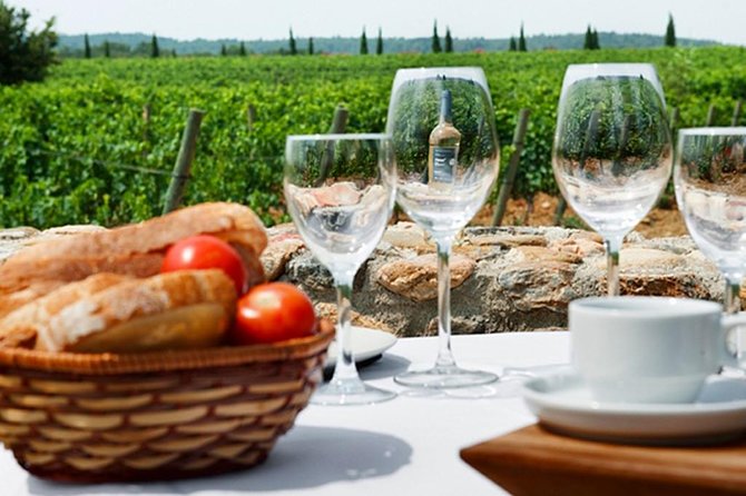 Wines Tasting and Typical Breakfast Small Group Tour from Girona - Key highlights to look forward to