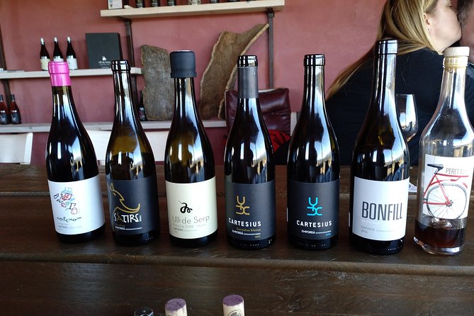 Wines Tasting and Typical Breakfast Small Group Tour from Girona - Empordàlia at Celler de Vilajuïga: Catalan Breakfast, 5 Wines, and Olive Oil