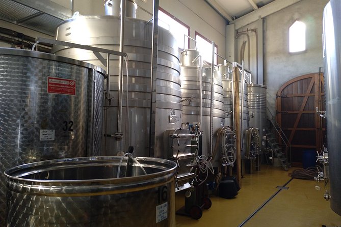 Wines Tasting and Typical Breakfast Small Group Tour from Girona - How to Get the Most Out of the Tasting (Without Trying Too Hard)