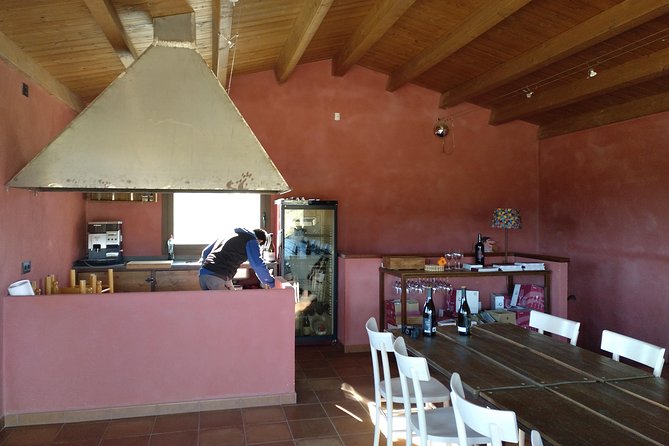 Wines Tasting and Typical Breakfast Small Group Tour from Girona - The Return to Girona: Planning the Rest of Your Day