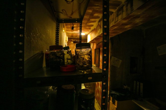 Xcape Room Bcn: The diary of Miko - Location in Sant Martí: arriving without stress