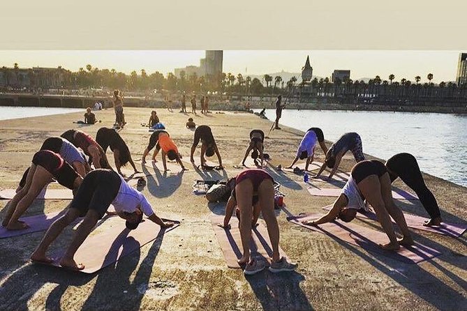Yoga by the Sea in Barcelona - Timing and Meeting: Arrive Early for a Smooth Start
