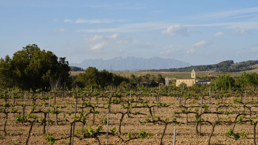 Your Cava, Your Story – Wine workshop experience at Artcava - Getting there from Barcelona: train first, then pickup