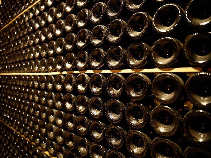 Your Cava, Your Story – Wine workshop experience at Artcava - The winery start: historic setting, real hands-on energy